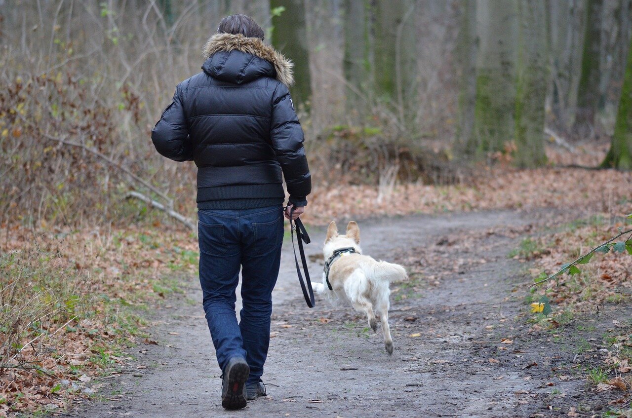 Wakacje z psem – o czym należy pamiętać?
