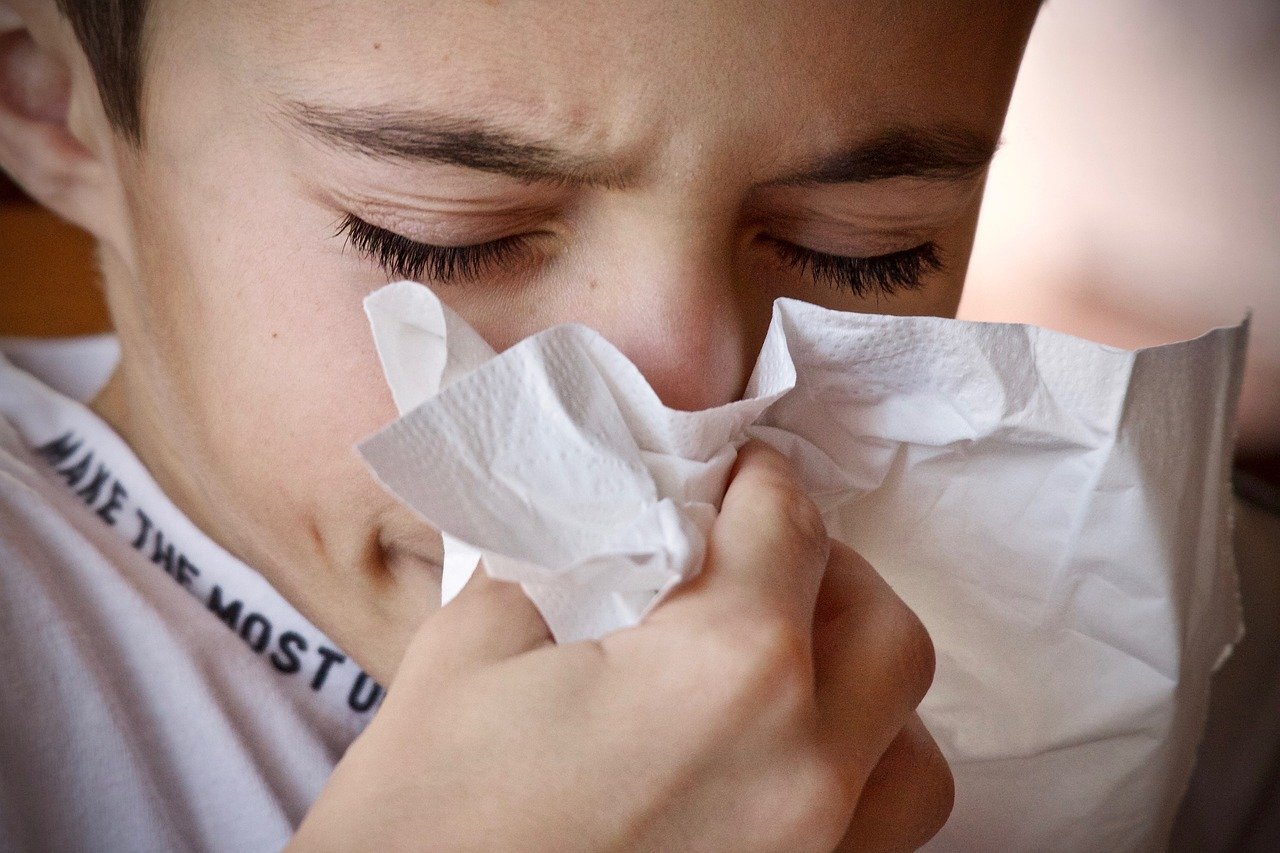 Alergia na roztocza – co powinniśmy wiedzieć?