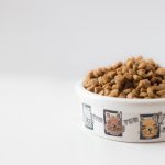 Dieta dla szczeniąt i młodych psów – kluczowe składniki i zasady żywienia